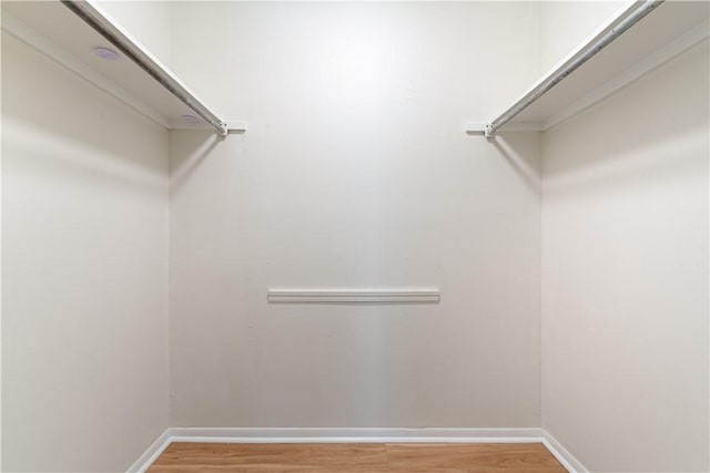 3021-3023 N Old Missouri Rd, Fayetteville, AR 72703 - walk in closet with light wood-type flooring