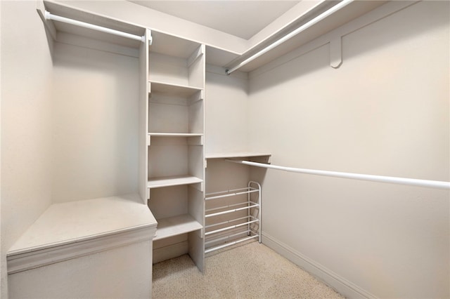 17 Webbly Ln, Bella Vista, AR 72714 - view of walk in closet