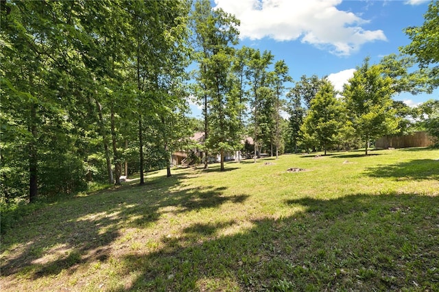 17 Webbly Ln, Bella Vista, AR 72714 - view of yard