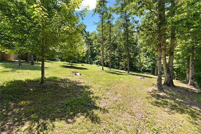 17 Webbly Ln, Bella Vista, AR 72714 - view of green lawn