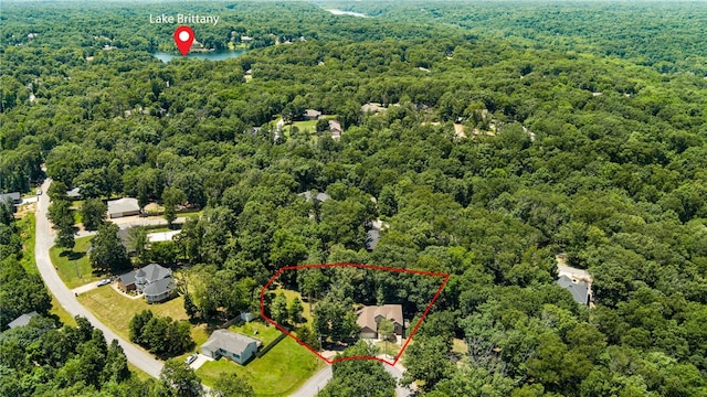 17 Webbly Ln, Bella Vista, AR 72714 - aerial view of property and surrounding area with a forest and property boundaries highlighted