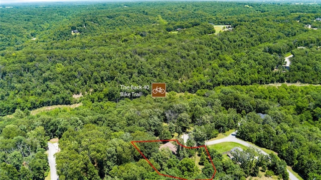 17 Webbly Ln, Bella Vista, AR 72714 - aerial view of property's location featuring a forest and property boundaries highlighted