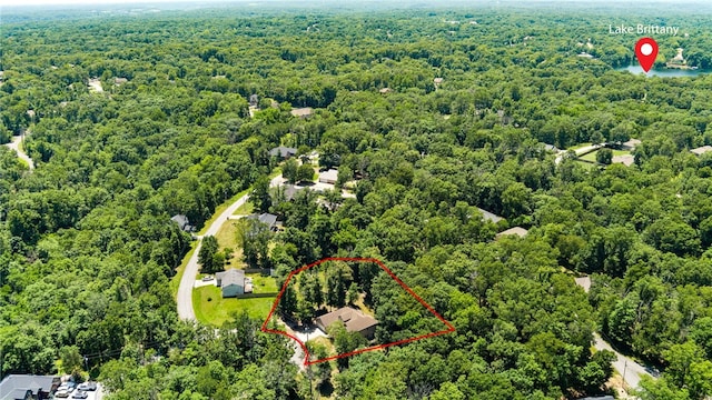 17 Webbly Ln, Bella Vista, AR 72714 - view of property location featuring a forest and property boundaries highlighted