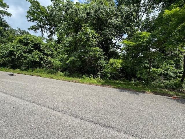 14 Cypress Point Ln, Holiday Island, AR 72631