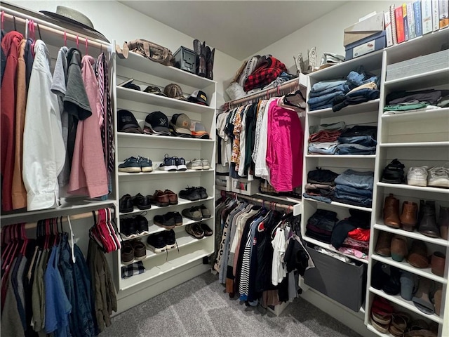 1 Llanon Cir, Bella Vista, AR 72714 - walk in closet with carpet flooring