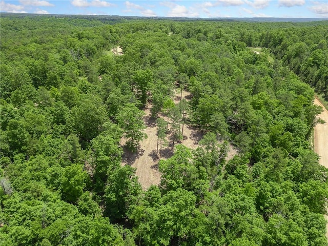 TBD Morgan Cave Rd, Harrison, AR 72601 - photo 5