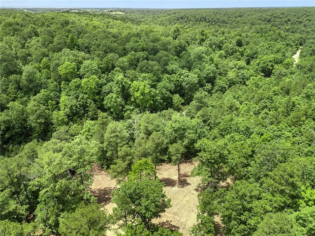 TBD Morgan Cave Rd, Harrison, AR 72601 - photo 6