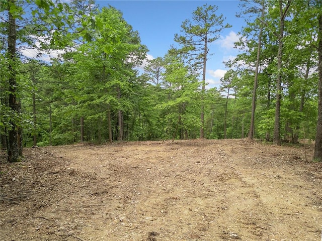 TBD Morgan Cave Rd, Harrison, AR 72601 - photo 3