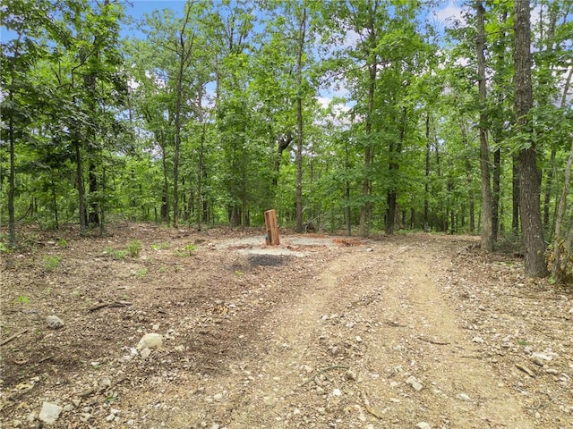 TBD Morgan Cave Rd, Harrison, AR 72601 - photo 8