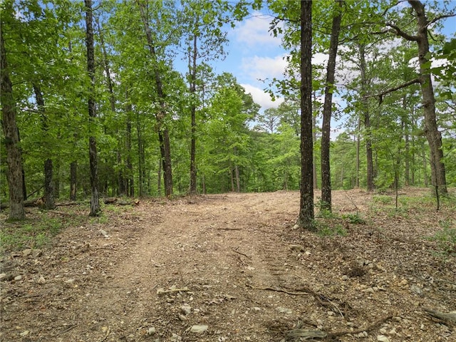 TBD Morgan Cave Rd, Harrison, AR 72601 - photo 1
