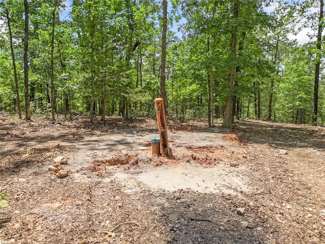 TBD Morgan Cave Rd, Harrison, AR 72601 - photo 2