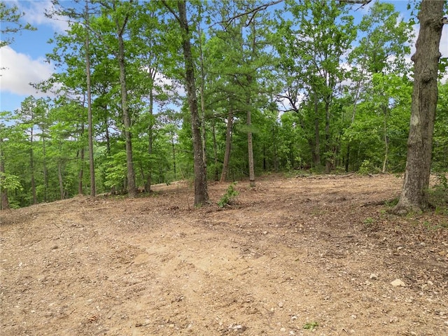 TBD Morgan Cave Rd, Harrison, AR 72601 - photo 10