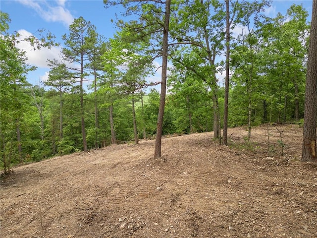 TBD Morgan Cave Rd, Harrison, AR 72601 - photo 11