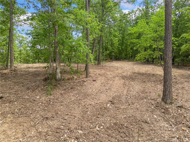 TBD Morgan Cave Rd, Harrison, AR 72601 - photo 12