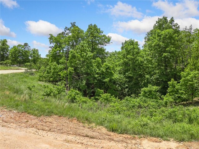 TBD Morgan Cave Rd, Harrison, AR 72601 - photo 15