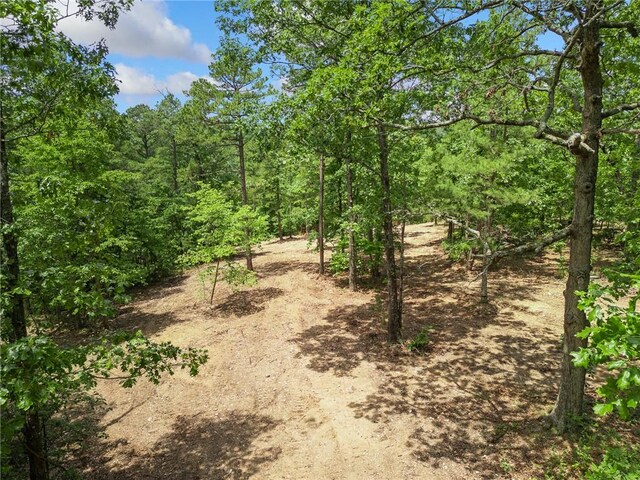 TBD Morgan Cave Rd, Harrison, AR 72601 - photo 16