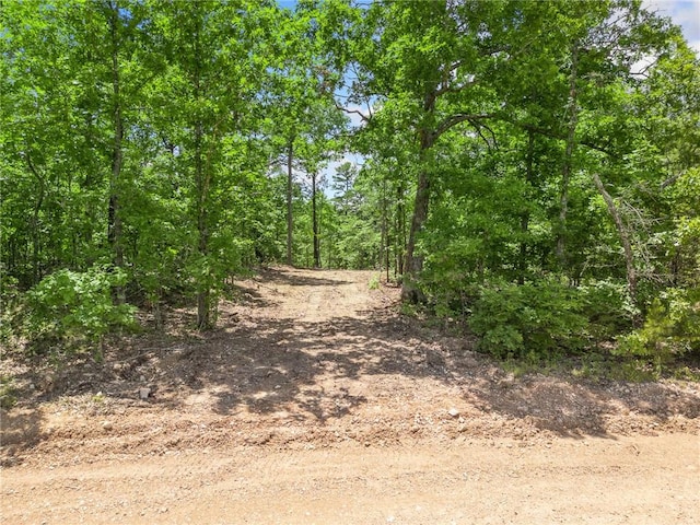 TBD Morgan Cave Rd, Harrison, AR 72601 - photo 17
