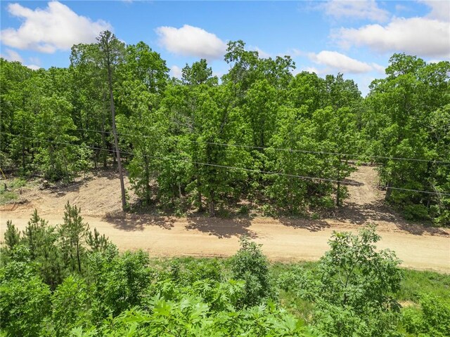 TBD Morgan Cave Rd, Harrison, AR 72601 - photo 18