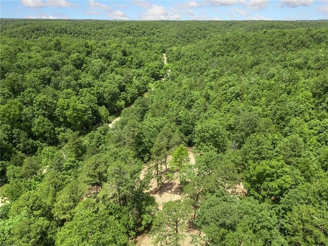 TBD Morgan Cave Rd, Harrison, AR 72601 - photo 19