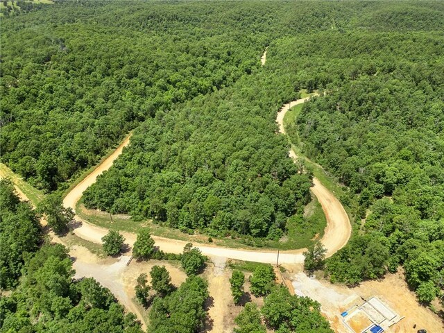 TBD Morgan Cave Rd, Harrison, AR 72601 - photo 21