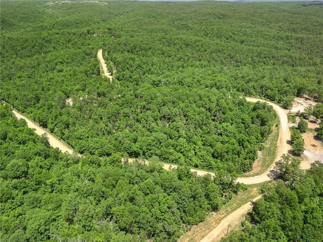 TBD Morgan Cave Rd, Harrison, AR 72601 - photo 23