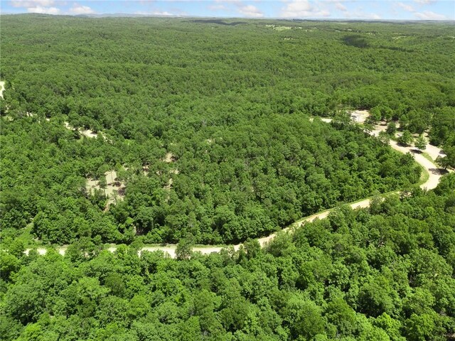 TBD Morgan Cave Rd, Harrison, AR 72601 - photo 24