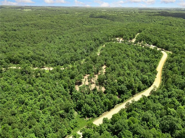 TBD Morgan Cave Rd, Harrison, AR 72601 - photo 25