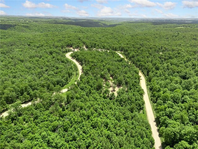 TBD Morgan Cave Rd, Harrison, AR 72601 - photo 26