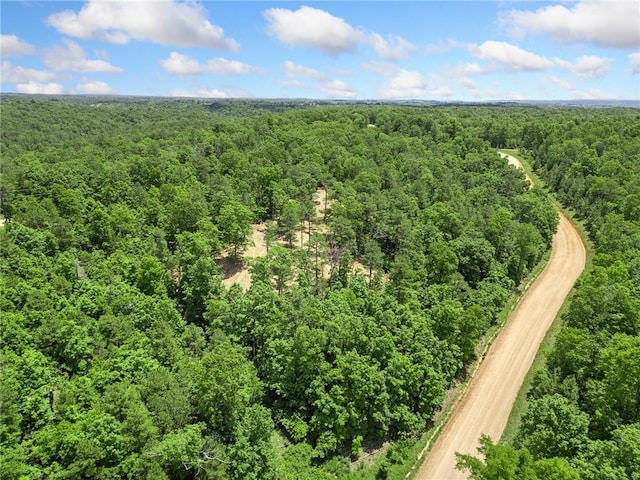 TBD Morgan Cave Rd, Harrison, AR 72601 - photo 27
