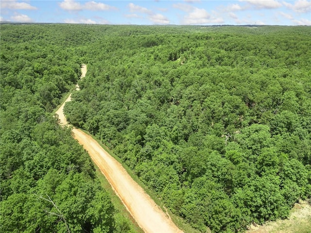 TBD Morgan Cave Rd, Harrison, AR 72601 - photo 28