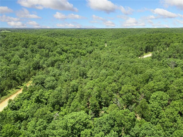 TBD Morgan Cave Rd, Harrison, AR 72601 - photo 29