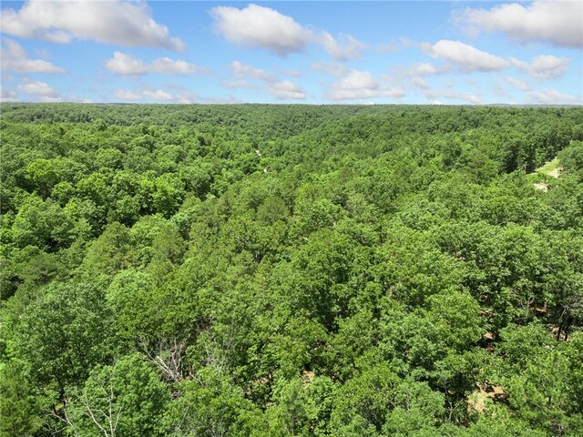 TBD Morgan Cave Rd, Harrison, AR 72601 - photo 30