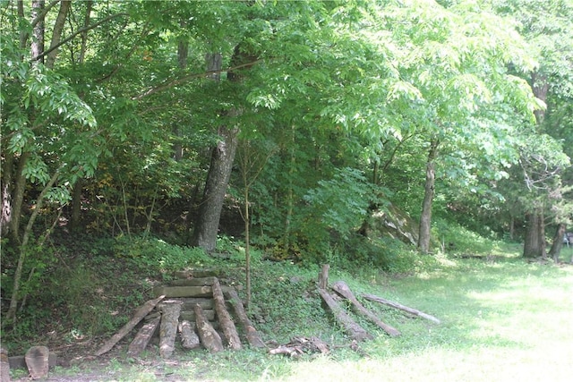 197 7th St, Saint Paul, AR 72756 - view of tree filled area