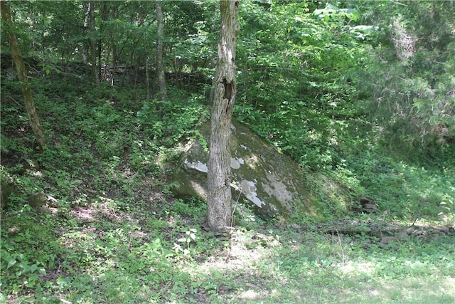 197 7th St, Saint Paul, AR 72756 - view of wooded area