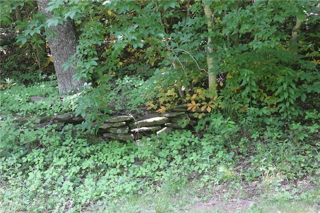 197 7th St, Saint Paul, AR 72756 - view of undeveloped land