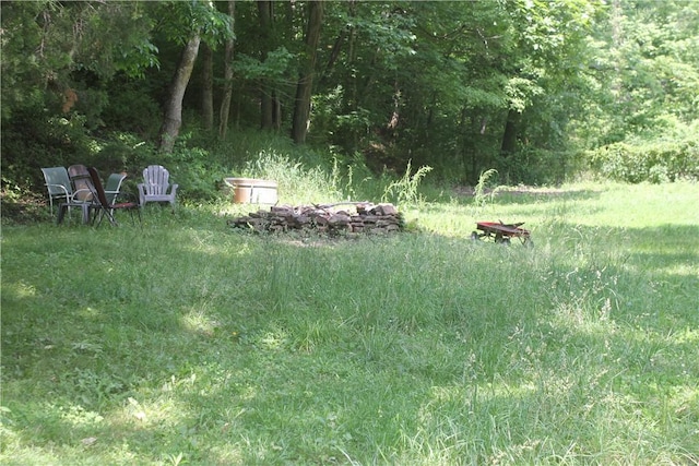 197 7th St, Saint Paul, AR 72756 - view of yard