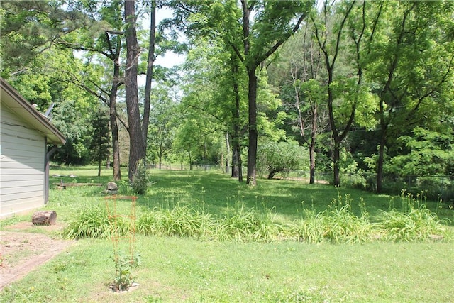 197 7th St, Saint Paul, AR 72756 - view of grassy yard