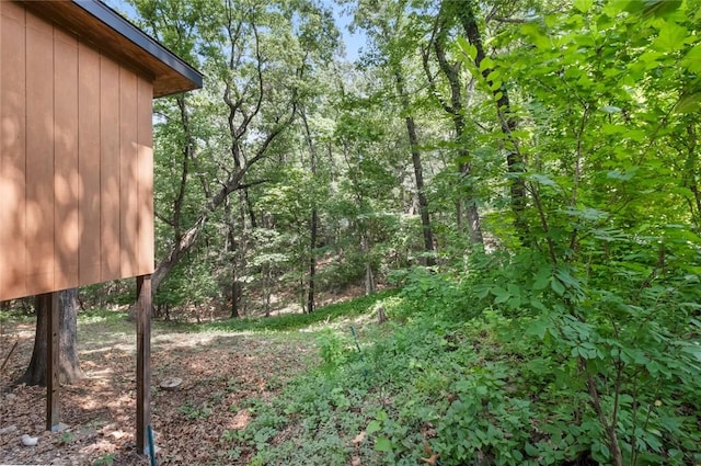 2 Tenbury Ln, Bella Vista, AR 72714 - view of yard