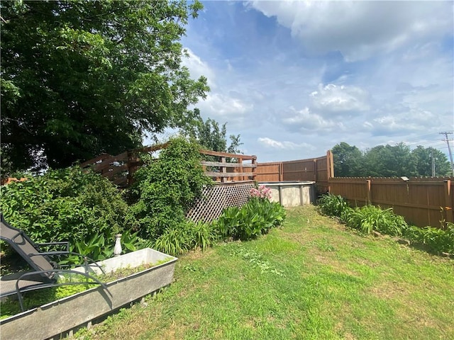 924 W Ave, Lincoln, AR 72744 - view of yard