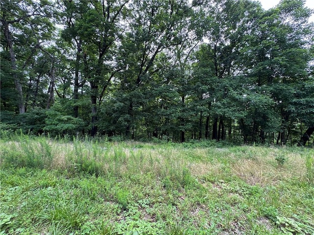 Mercury Ln, Holiday Island, AR 72631