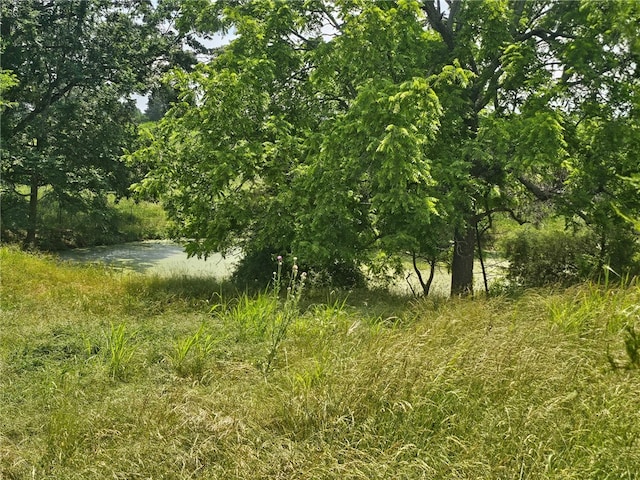 6611 Mc 4010, Everton, AR 72633 - view of undeveloped land