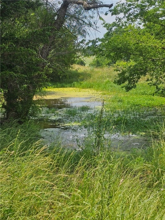 6611 Mc 4010, Everton, AR 72633 - water view