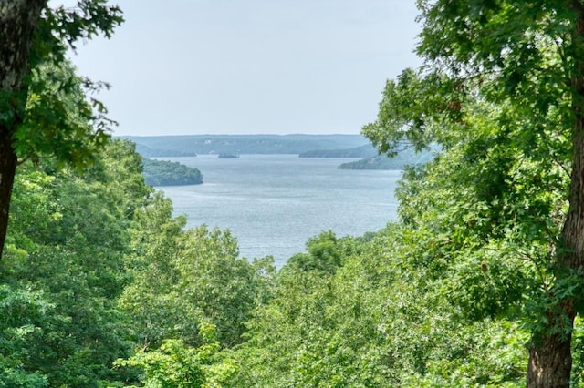 122 Hillcrest Rd, Eureka Springs, AR 72631 - water view