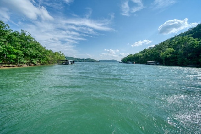 122 Hillcrest Rd, Eureka Springs, AR 72631 - water view featuring a heavily wooded area