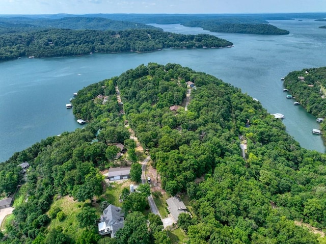122 Hillcrest Rd, Eureka Springs, AR 72631 - view of property location with a forest and a nearby body of water