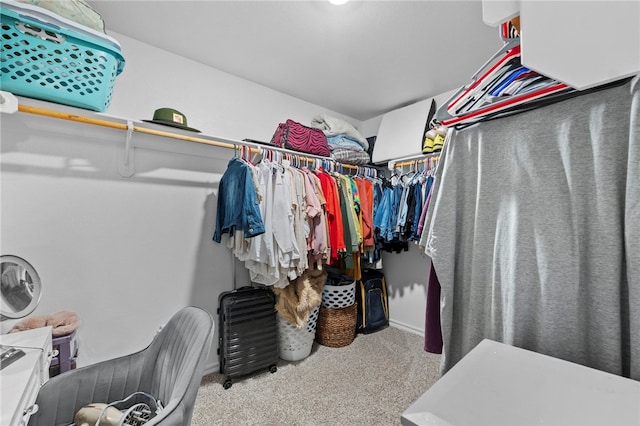 615 W Dusty Ct, Siloam Springs, AR 72761 - walk in closet with carpet floors