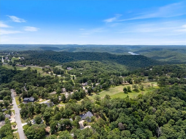 5 Augusta Ln, Holiday Island, AR 72631 - drone / aerial view of a heavily wooded area