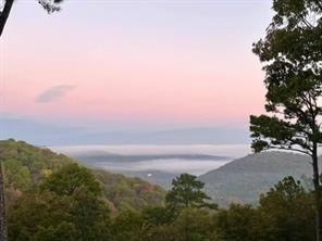 5 Augusta Ln, Holiday Island, AR 72631 - mountain view featuring a forest