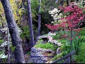 5 Augusta Ln, Holiday Island, AR 72631 - view of yard