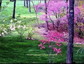 5 Augusta Ln, Holiday Island, AR 72631 - view of green lawn